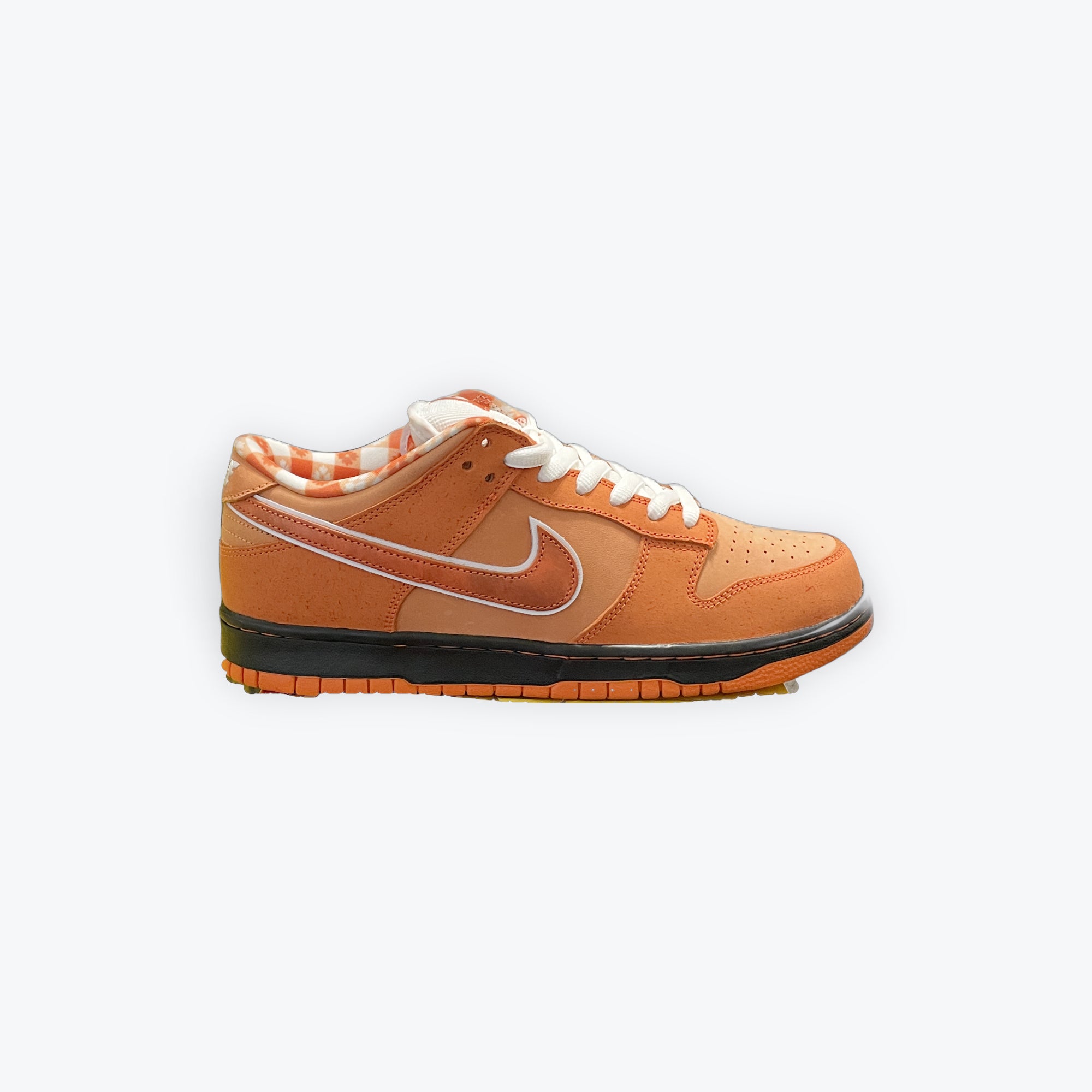 Nike sb dunk circuit orange online